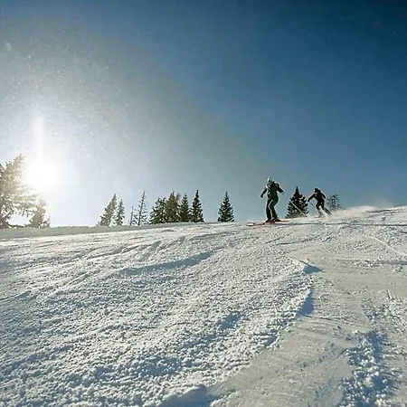 Waldfrieden Ramsau am Dachstein