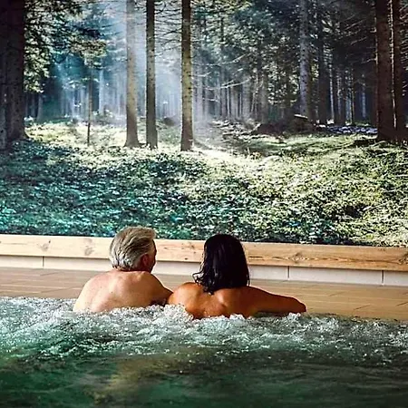 Waldfrieden Hotel Ramsau am Dachstein