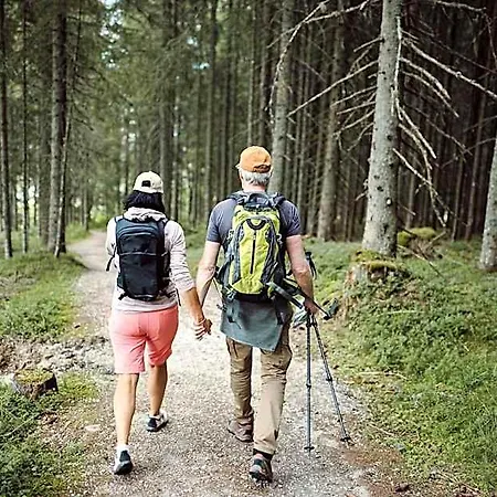 Waldfrieden Hotel Ramsau am Dachstein